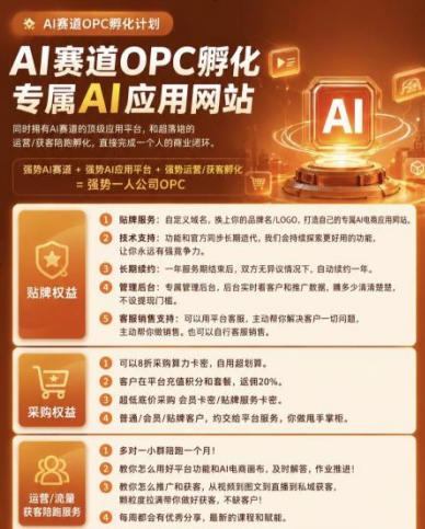 【首发】OPC一人公司项目,单日500 ,手机电脑不限制,打造属于自己的品牌画布AI产品,收费陪跑【揭秘】